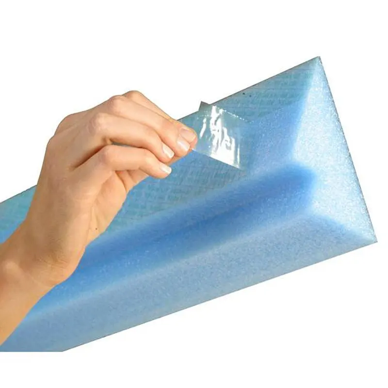 The Cove Pool Club | Live Piazza